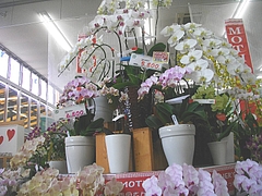 多良見店02-5