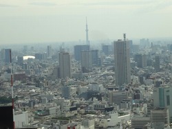 東京都庁02-6