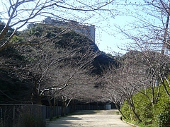 ºù01-3