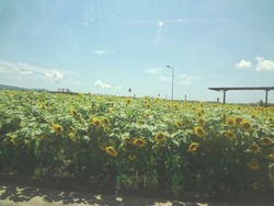 安保地区01