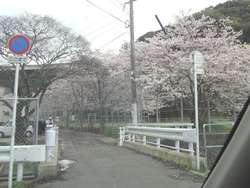 小ヶ倉水園01