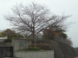 小江原02-2