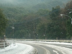 雪0126