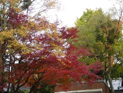 安勝寺02-3
