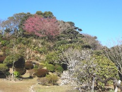 神代小路02-4