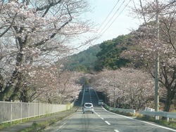 堂崎03-4