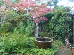 心田菴04-6