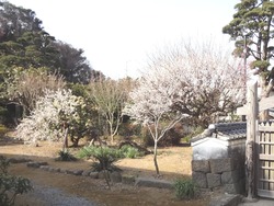 神代02-5