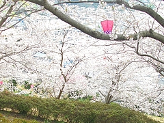 中尾城03-5