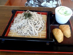 春の家03-2