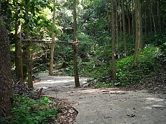 松露渕01-2