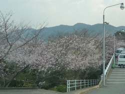 稲佐山02