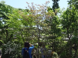 波佐見06-2