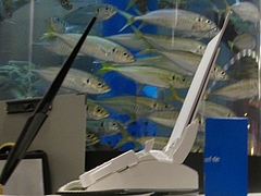 雑魚屋04