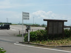 山茶花高原01