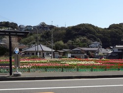 安保01-2
