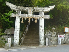 はまぜん08-5