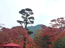 迎仙閣03-2