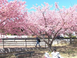 久原公園02-6