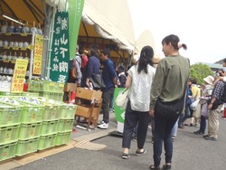 波佐見01-3