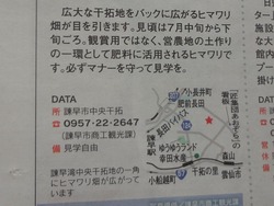 ひまわり00