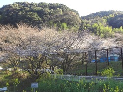 芒塚01