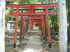 諏訪神社 玉園稲荷01