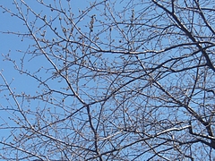 ºù02-4