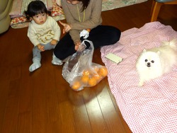 孫02-7