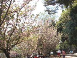 大村公園01-3