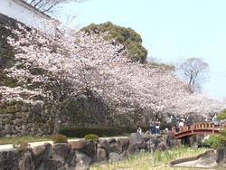 大村公園02