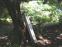 鳴滝06
