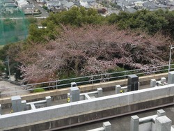 小江原03-2