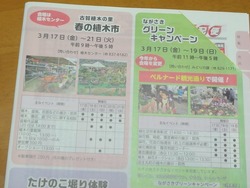 グリーンキャンペーン01