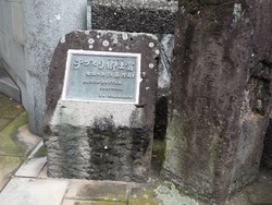 河川公園01-4-2