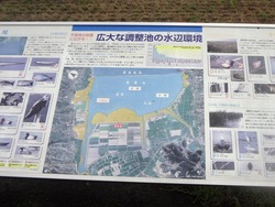 ひまわり02-4