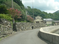 散歩未知05