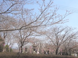 大村公園01-3