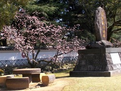 諫早公園01-6