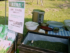 東彼杵03-5