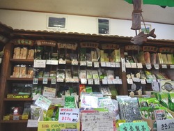 東彼杵02-4