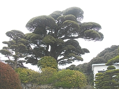 古賀04-3