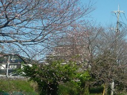 0325-02