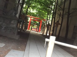 花園神社01