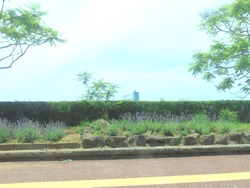 小浜02-4