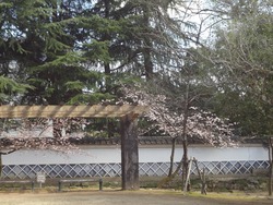 諫早公園01-3