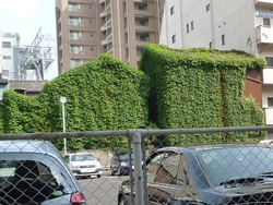 浜町03