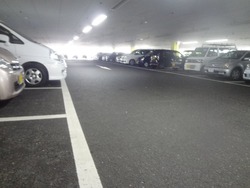 ヤマダ電機01