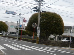 円融寺庭園00