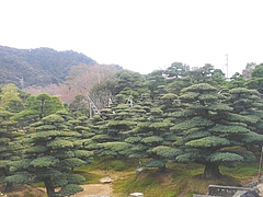 古賀05